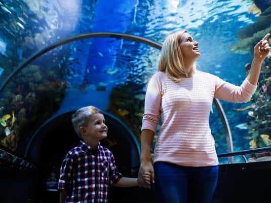 Antalya: Aquarium and Wax Museum Entry Ticket