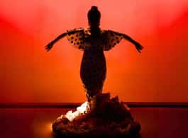 Barcelona: Flamenco Show at the Theater side 1