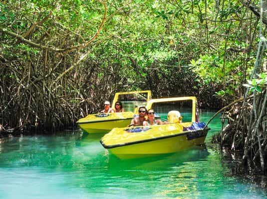 Cancun: Speedboat Mangrove Jungle & Snorkel Tour