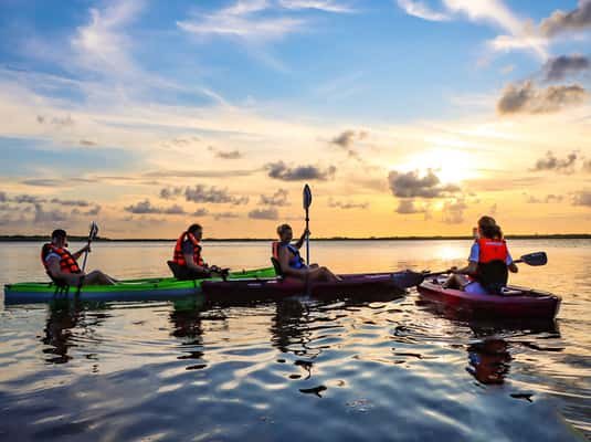Cancun: Sunset Kayak Experience in the Mangroves