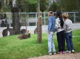 Copenhagen: Copenhagen Zoo Entry Ticket side 2