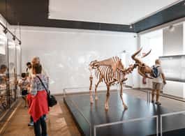 Copenhagen: National Museum of Denmark Entry Ticket side 2