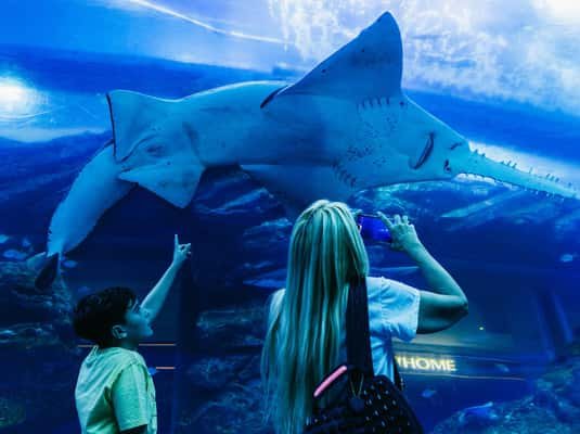 Dubai: Aquarium & Burj Khalifa Levels 124 & 125 Combo Ticket