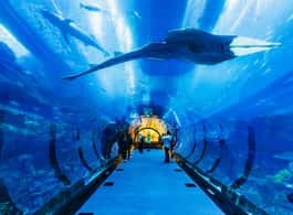 Dubai: Aquarium & Burj Khalifa Levels 124 & 125 Combo Ticket side 2