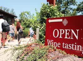 Florence: S. Gimignano, Siena, Chianti Wine Tasting & Lunch side 1