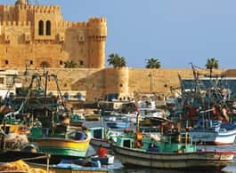 From Cairo: Private Full-Day Tour of Historical Alexandria side 1