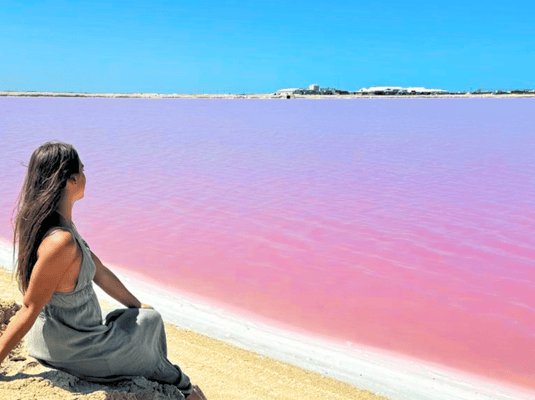 From Cancún: Rio Lagartos & Las Coloradas Day Trip & Lunch