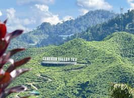 From Kuala Lumpur: Cameron Highlands Day Tour with Lunch side 1