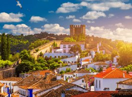 From Lisbon: Tour to Óbidos and Nazaré - Medieval Village, Ginja, and Giant Waves side 2