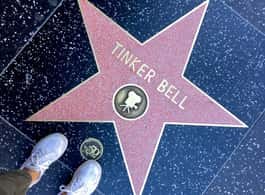 Full-Day City Tour of LA, Hollywood, Beverly Hills & Beaches side 2