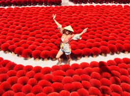 Hanoi: Incense Village, Hat, and Lacquer Artisanal Tour side 1