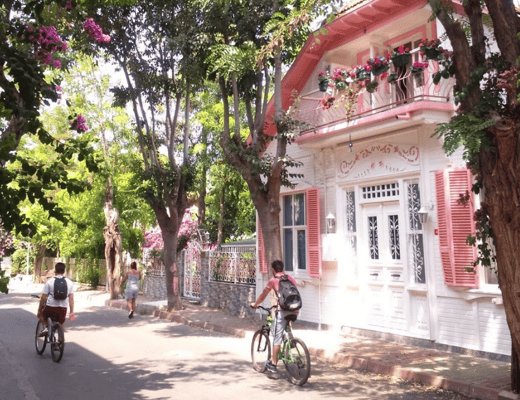 Istanbul: Princes Islands Tour with Heybeliada and Buyukada side 1