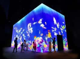 Macau: “Venice” 3D Light and Shadow World Admission Ticket side 1