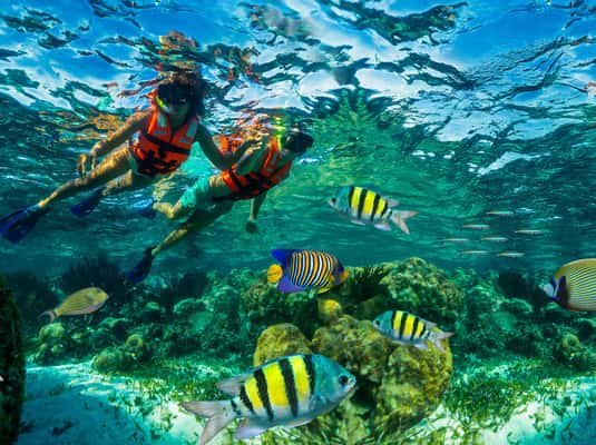 Puerto Morelos: Snorkel, Town Walk, Tequila & Beach Lunch